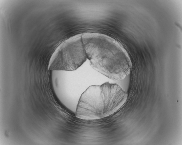 X0000097850361200804111134