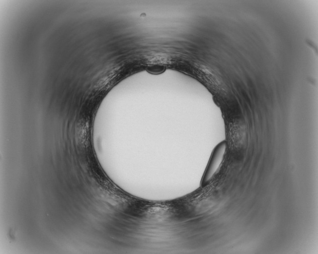 X0000097850364200804111134