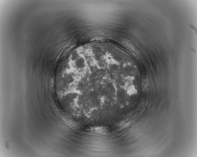 X0000097850365200804111134