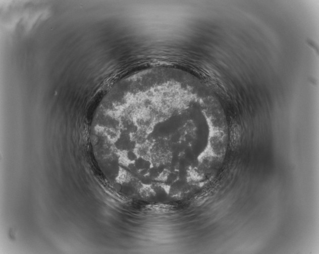 X0000097850367200804111134