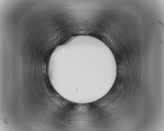 X0000097850368200804111134