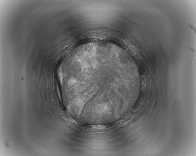 X0000097850369200804111134