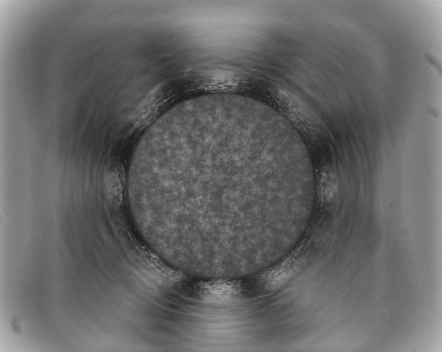 X0000097850370200804111134