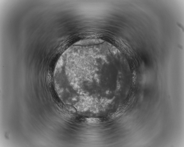 X0000097850371200804111134