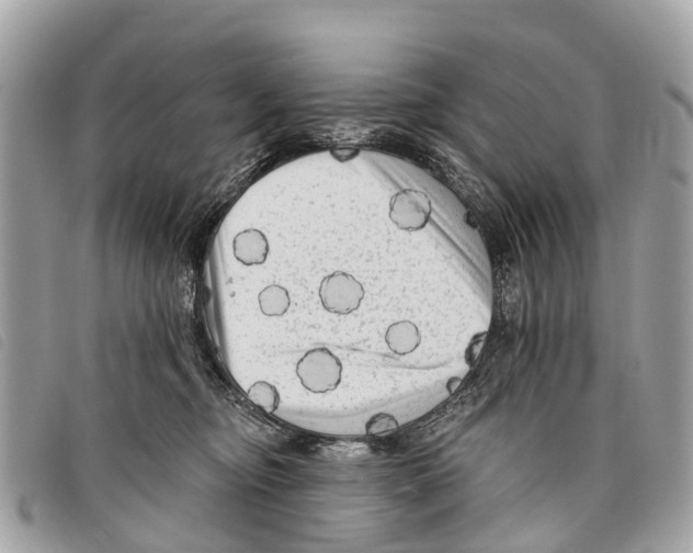 X0000097850374200804111134