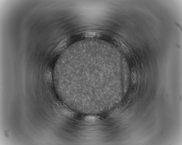 X0000097850375200804111134