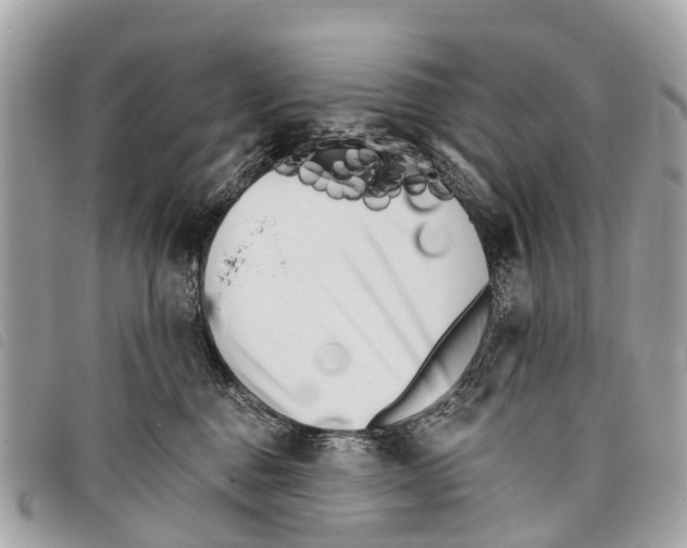 X0000097850376200804111134