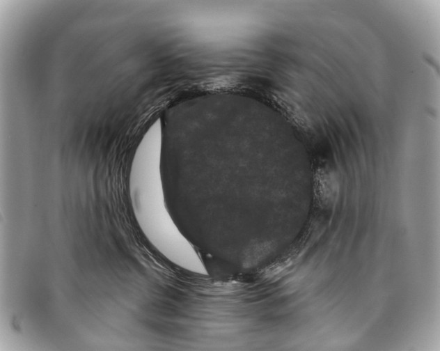 X0000097850380200804111134