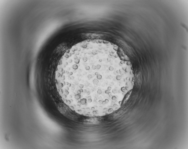 X0000097850381200804111134