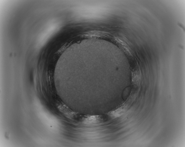 X0000097850382200804111134