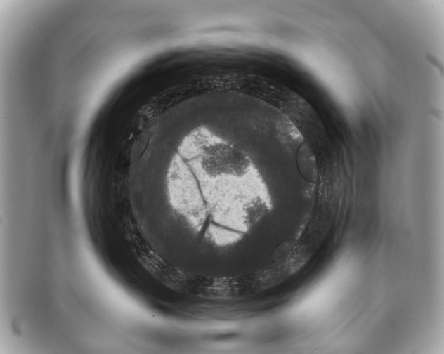 X0000097850383200804111134