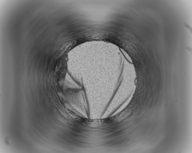 X0000097850384200804111134