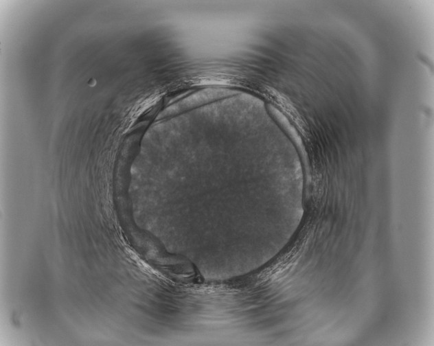 X0000097850385200804111133