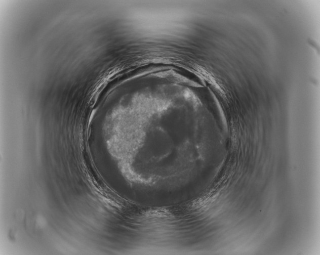 X0000097850386200804111133