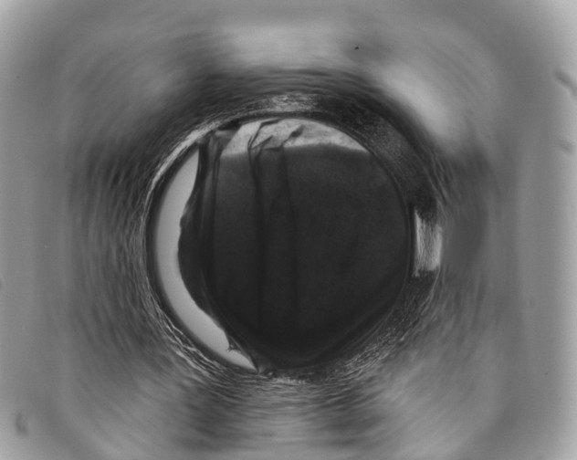 X0000097850387200804111133