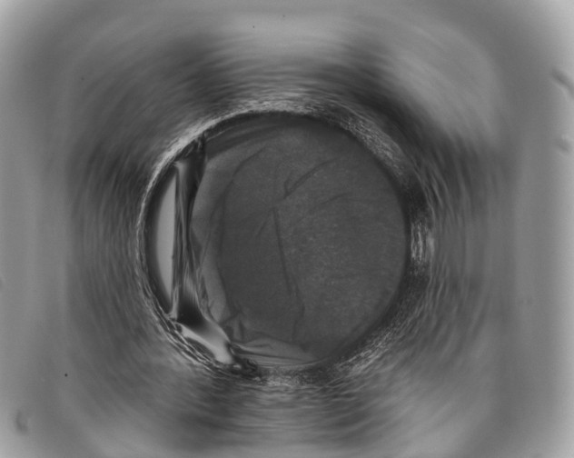 X0000097850388200804111133