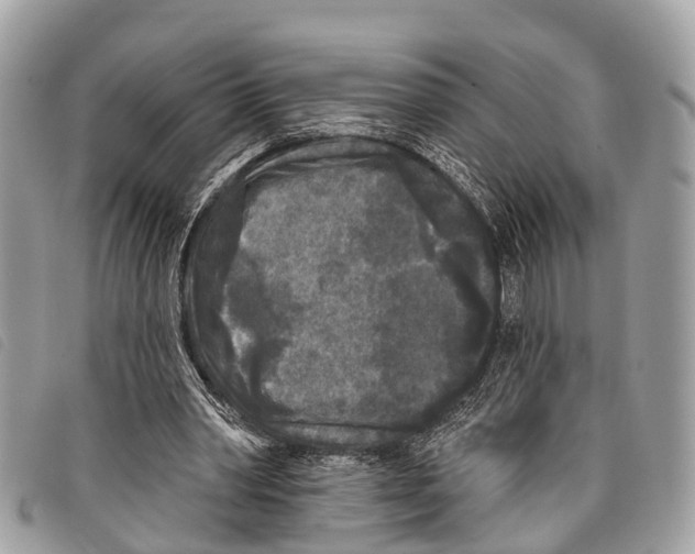 X0000097850390200804111133