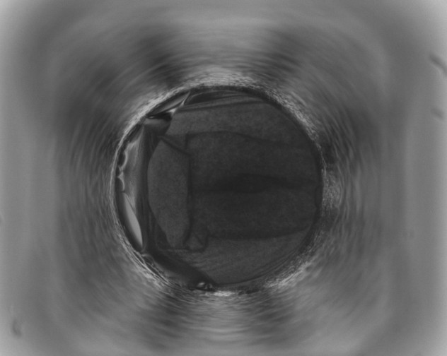 X0000097850391200804111133