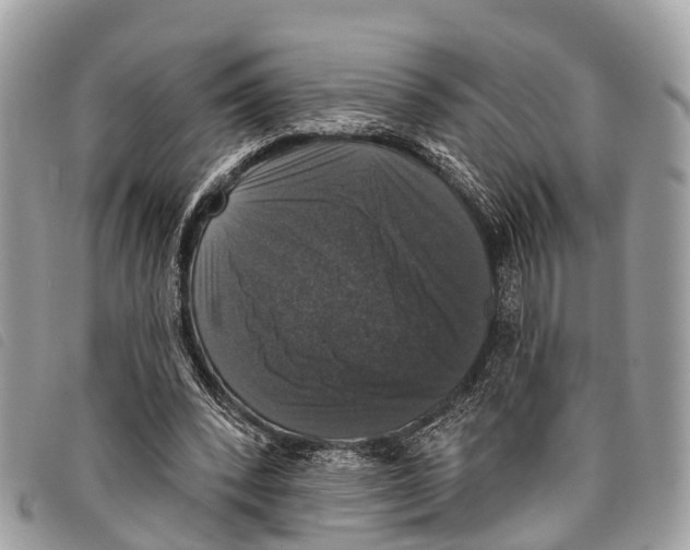 X0000097850392200804111133