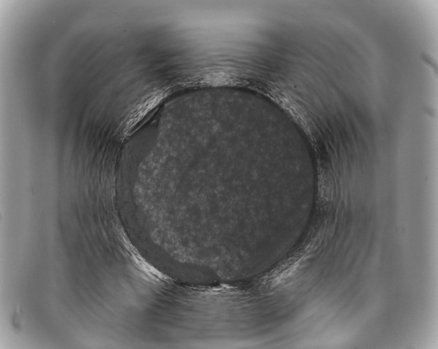 X0000097850393200804111133