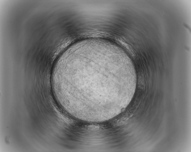 X0000097850394200804111133