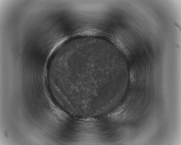 X0000097850396200804111133