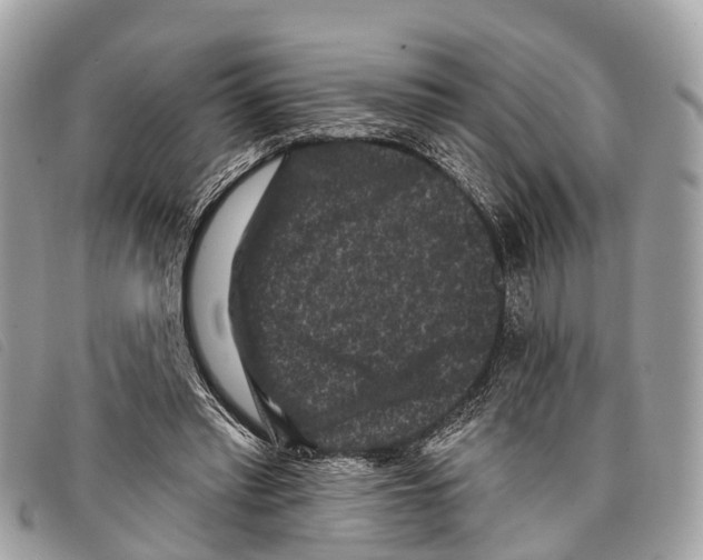 X0000097850397200804111133