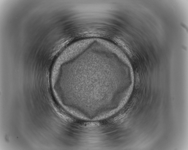 X0000097850398200804111133