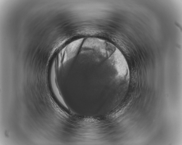 X0000097850399200804111133