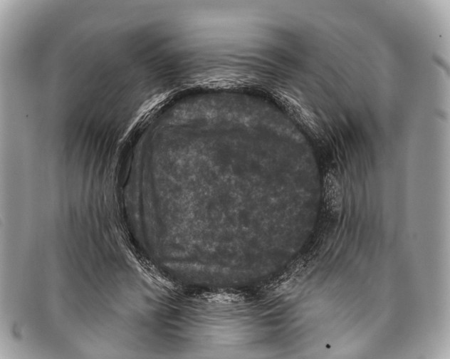 X0000097850400200804111133