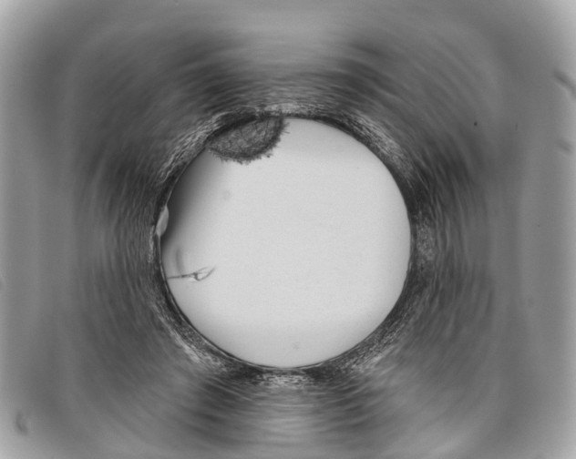 X0000097850401200804111133