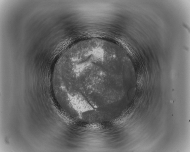 X0000097850402200804111133