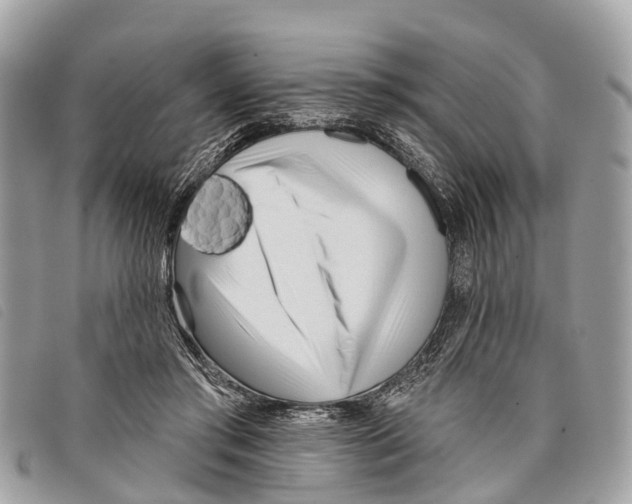 X0000097850405200804111133