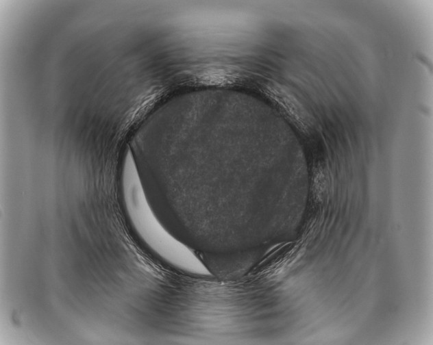 X0000097850407200804111133