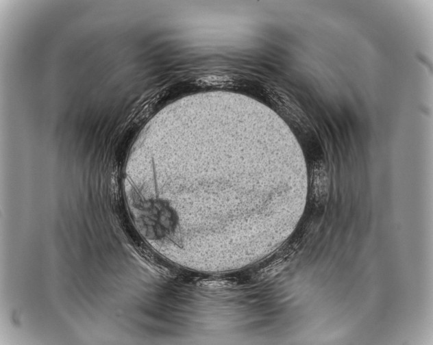 X0000097850408200804111133