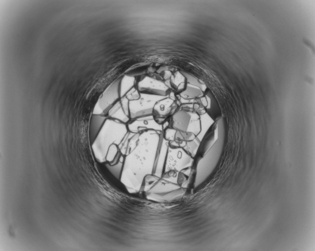 X0000097850409200804111133