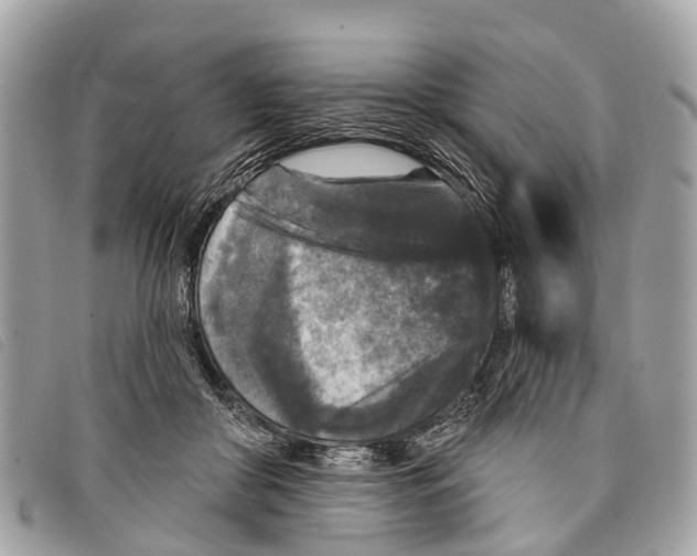 X0000097850410200804111133