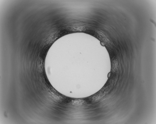 X0000097850414200804111133