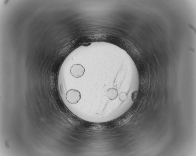 X0000097850416200804111133