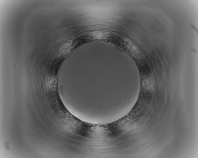 X0000097850419200804111133