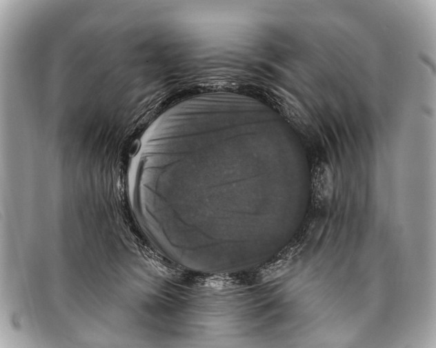 X0000097850420200804111133