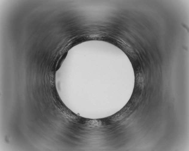 X0000097850421200804111133