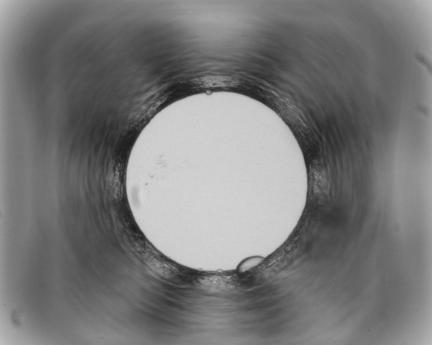 X0000097850422200804111133