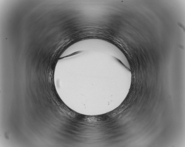 X0000097850423200804111133