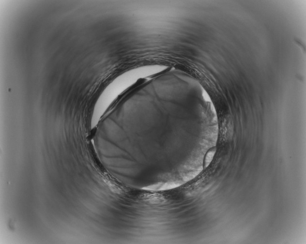 X0000097850424200804111133