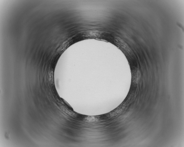 X0000097850425200804111133