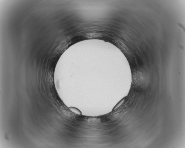 X0000097850426200804111133