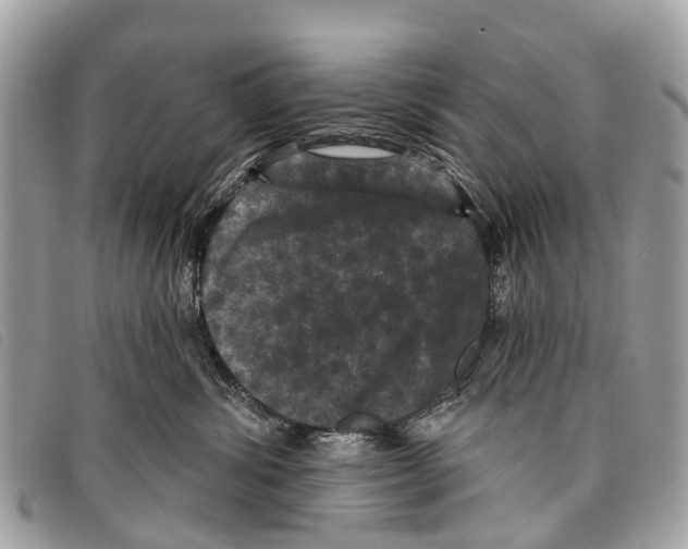 X0000097850428200804111133