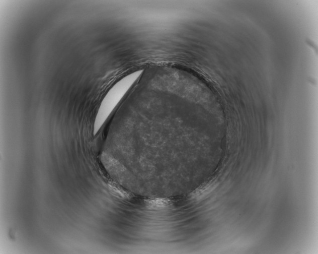 X0000097850432200804111132