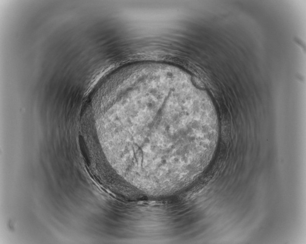 X0000097850434200804111132